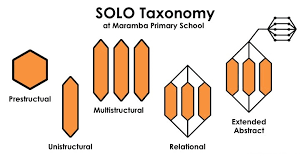 Solo Taxonomy