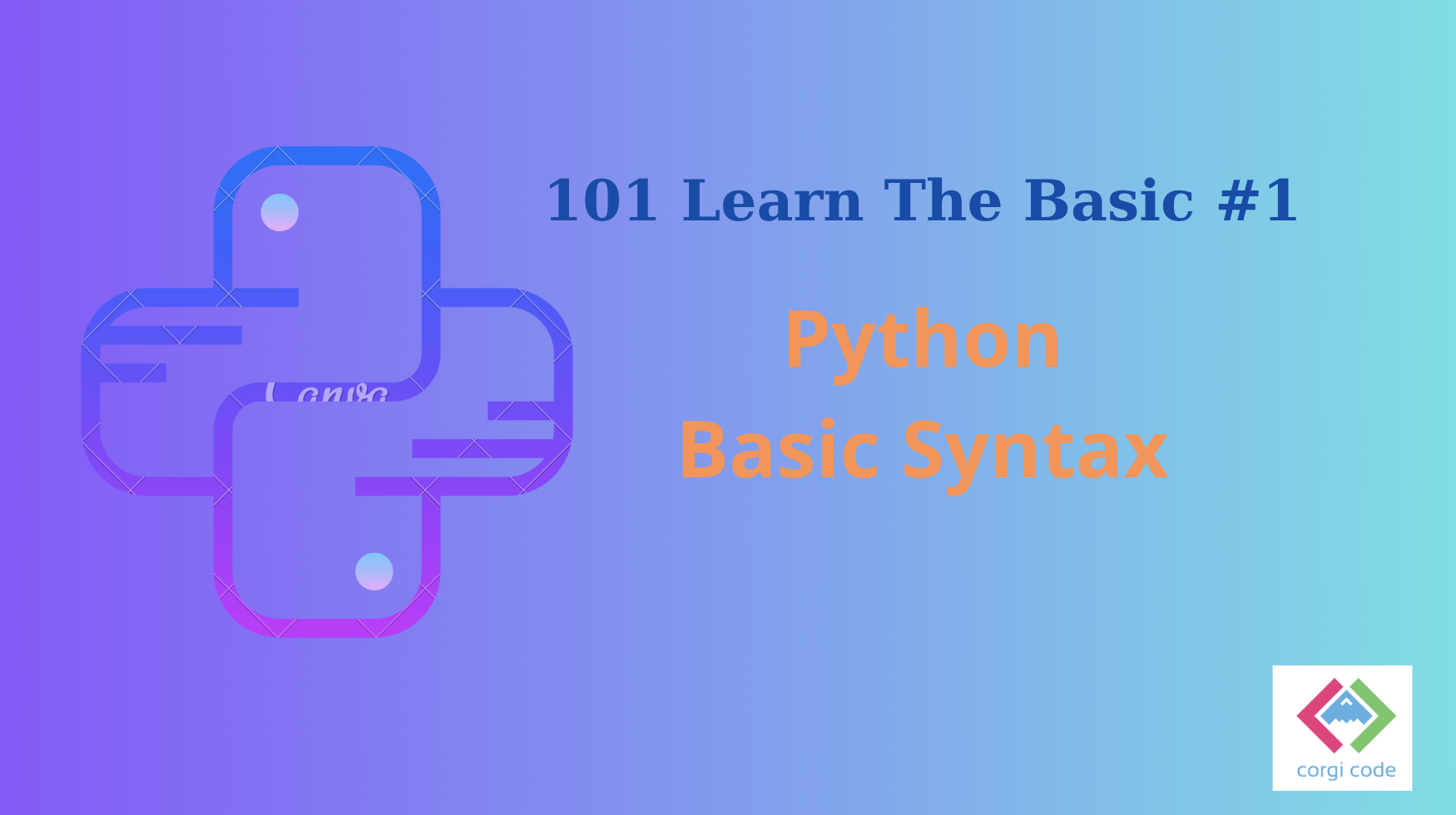 python basic syntax